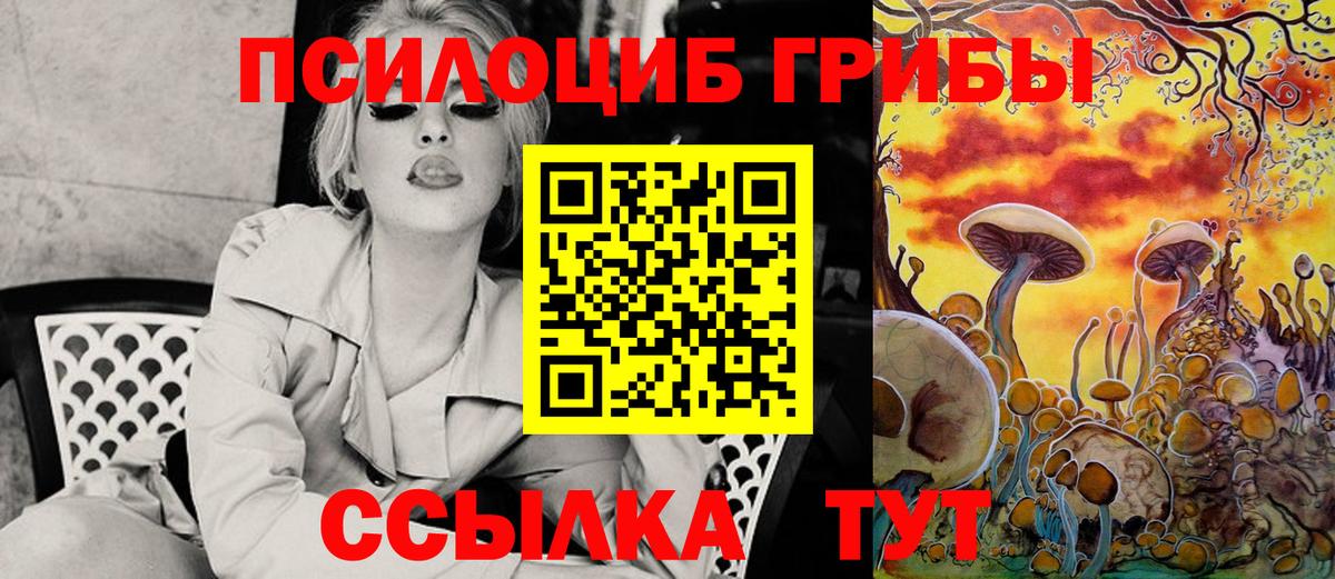 Галлюциногенные грибы ЛСД  Галлюциногенные грибы Psilocybine cubensis  Волхов  Вход с VPN 